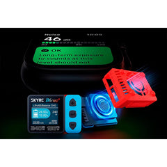 SkyRC B6NEO+ Smart Charger - Grey